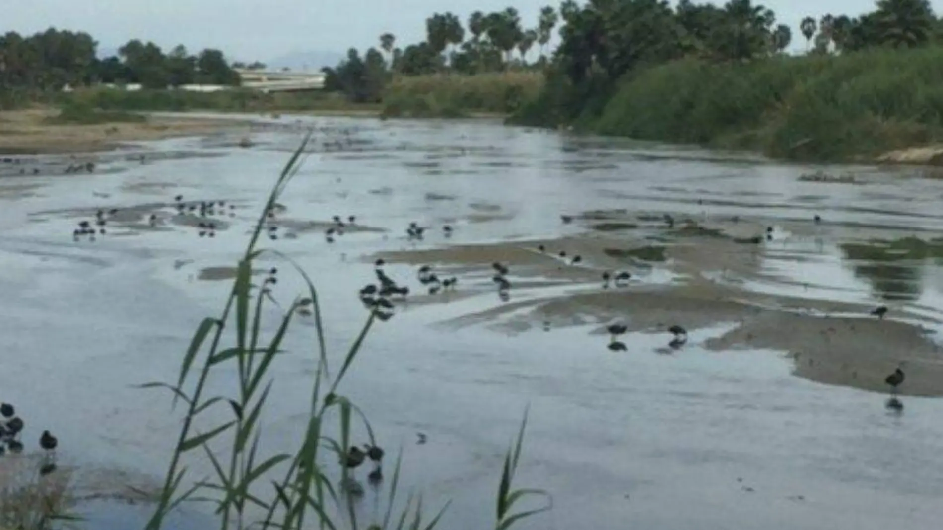 Multa por danho al Estero 